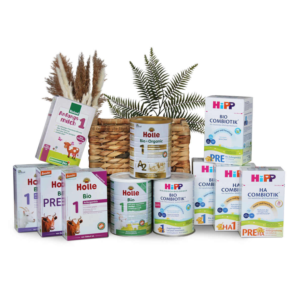 Best organic formula 2020 online