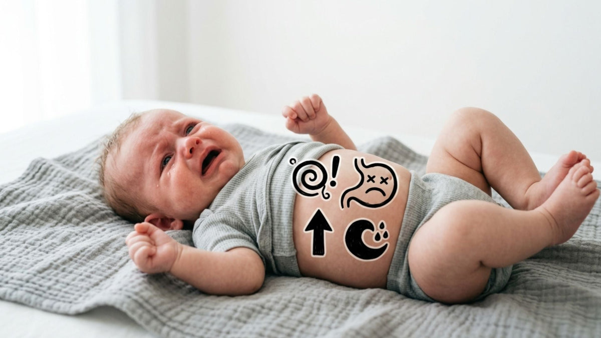 Best Baby Formula for Sensitive Stomachs in 2026: Pediatrician-Informed Picks for Fussy Babies