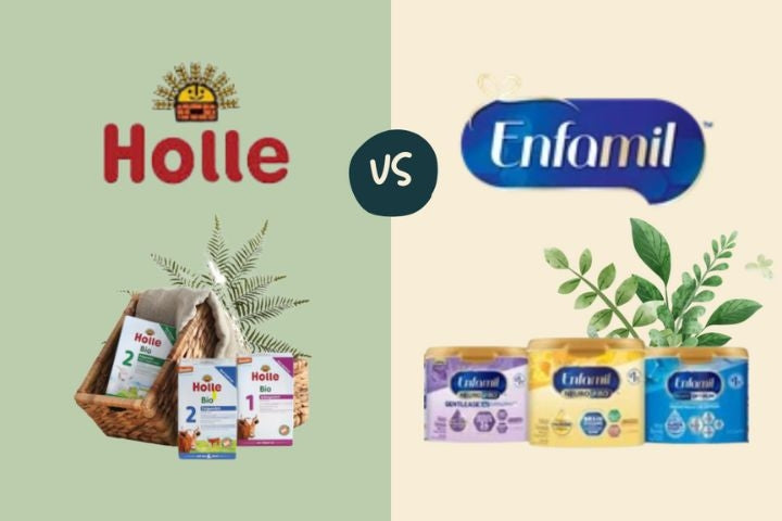 Holle vs. Enfamil Comparison