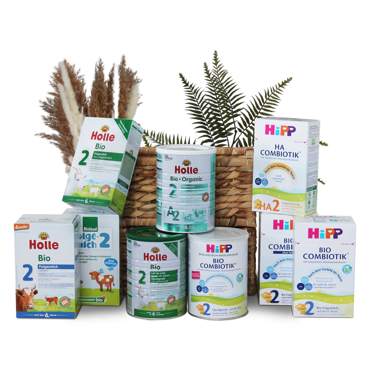 Formulas For 6+ Months Babies | Organic Baby Formulas